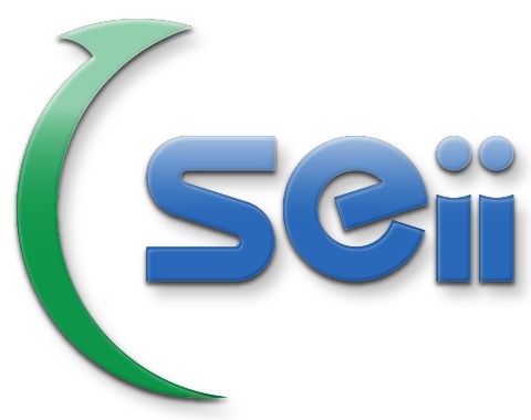 SEII–Sharing Economy International, Inc.